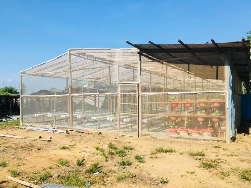 Melawat Kebun Hidroponik Di Arrizq Farm, Kg. Kulambai Kota Belud