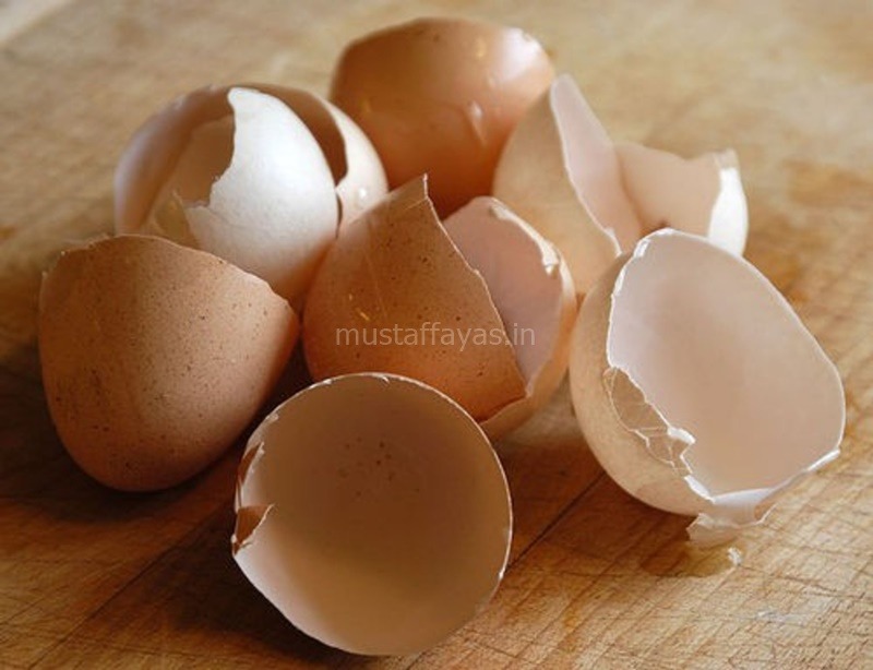Cara Gemukkan Pokok - Kulit Telur Ayam