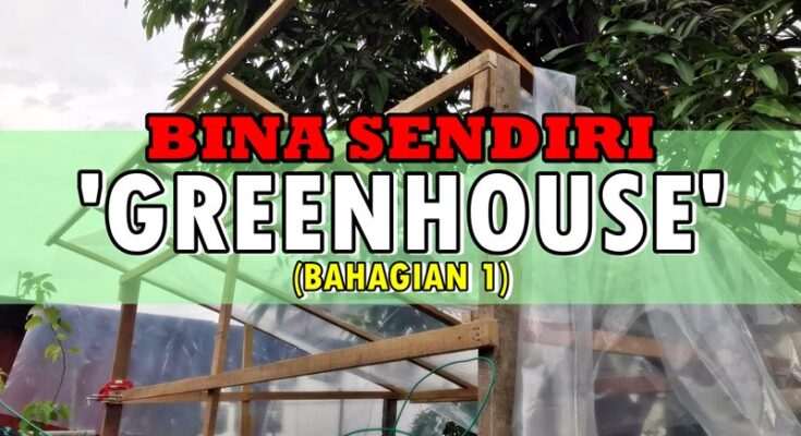 Membina Sendiri Rumah Hijau 'Greenhouse' Mini