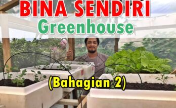 Membina Sendiri Rumah Hijau ‘Greenhouse’ Mini - Bahagian 2