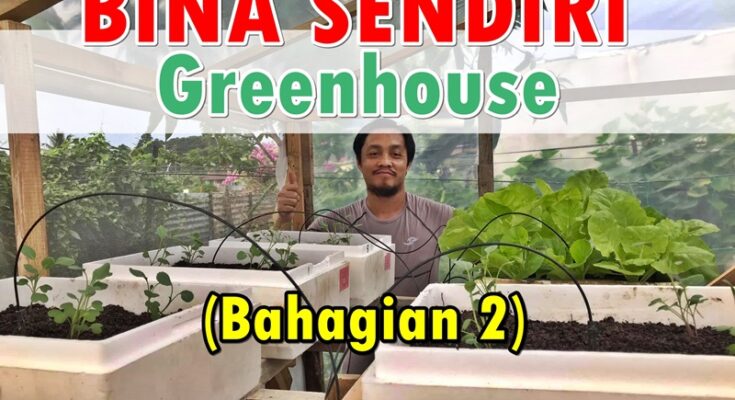 Membina Sendiri Rumah Hijau ‘Greenhouse’ Mini - Bahagian 2